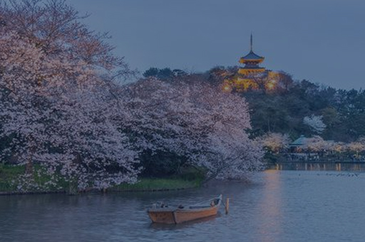 yokohama japan garden