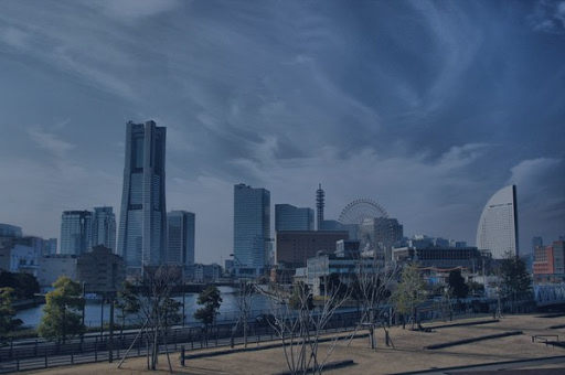 excursions yokohama